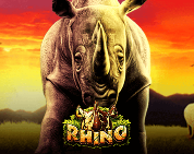 Rhino
